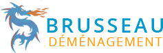 logo brusseau